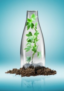 Eco-friendly bottle